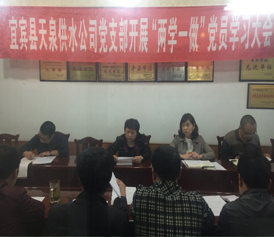 天泉供水公司黨支部開(kāi)展“兩學(xué)一做”黨員學(xué)習大會(huì )