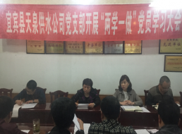 天泉供水公司黨支部開(kāi)展“兩學(xué)一做”黨員學(xué)習大會(huì )
