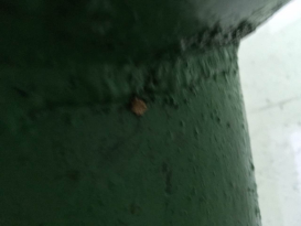 突遇險情  快速反應  力保安全生產(chǎn)