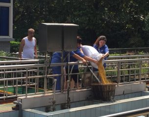 ?一水廠(chǎng)開(kāi)展處置高濁度水應急演練