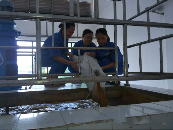 四水廠(chǎng)進(jìn)行源水高濁度應急演練