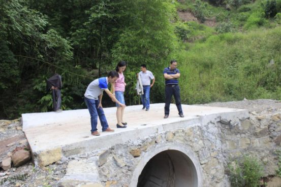 集團公司領(lǐng)導到屏山縣栗子村慰問(wèn)調研