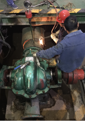 加強設備維護保養  確保節日穩定供水