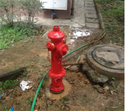 城市“紅衣衛士”的守護者