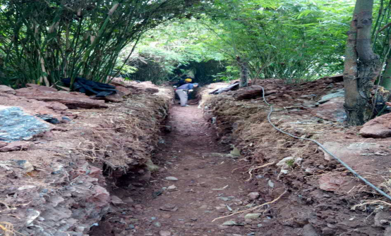 深入施工現場(chǎng) 落實(shí)工程情況