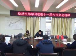 臨港支部學(xué)習貫徹省委十一屆六次全會(huì )精神