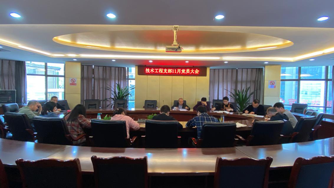 技術(shù)工程支部召開(kāi)十一月支部黨員大會(huì )