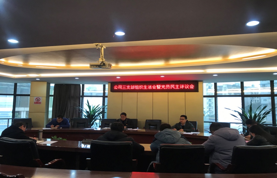公司三支部召開(kāi)組織生活會(huì )暨黨員民主評議會(huì )