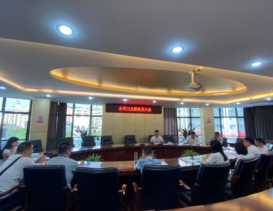 公司三支部召開(kāi)黨員大會(huì )暨主題黨日活動(dòng)