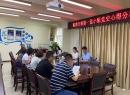 臨港支部第一黨小組召開(kāi)黨史學(xué)習 心得分享會(huì )