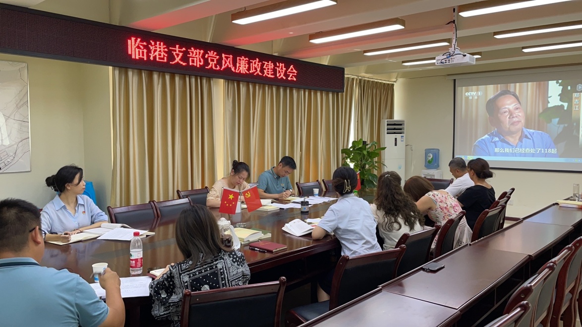 臨港支部組織收看警示教育片《正風(fēng)肅紀紀實(shí)》 ——臨港支部召開(kāi)7月黨風(fēng)廉政建設會(huì )