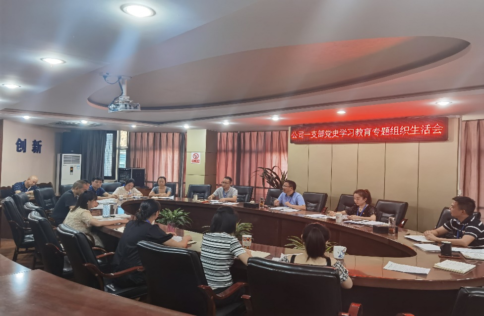 公司一支部召開(kāi)黨史學(xué)習教育專(zhuān)題組織生活會(huì )