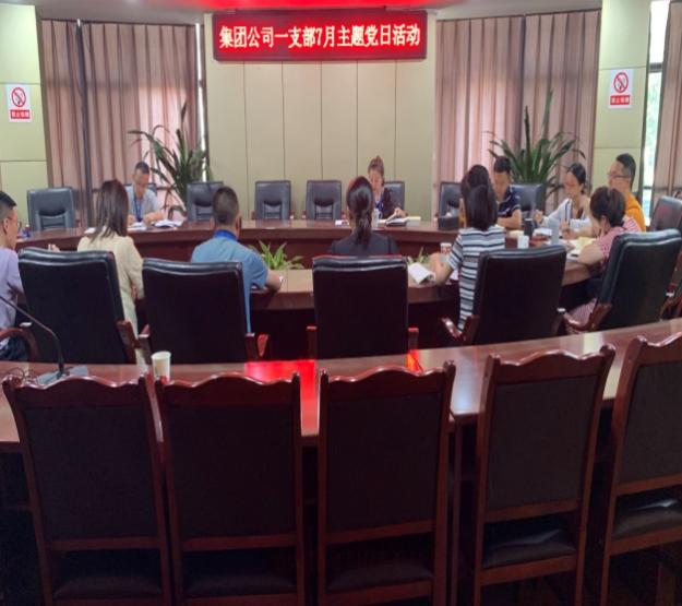 公司一支部組織開(kāi)展“讀書(shū)交流會(huì )” 主題黨日活動(dòng)