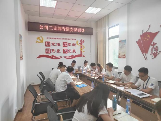 公司二支部開(kāi)展“齊力共進(jìn)、強企有我” 主題黨日活動(dòng)