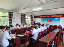 制水分公司黨支部召開(kāi)6月黨員大會(huì )