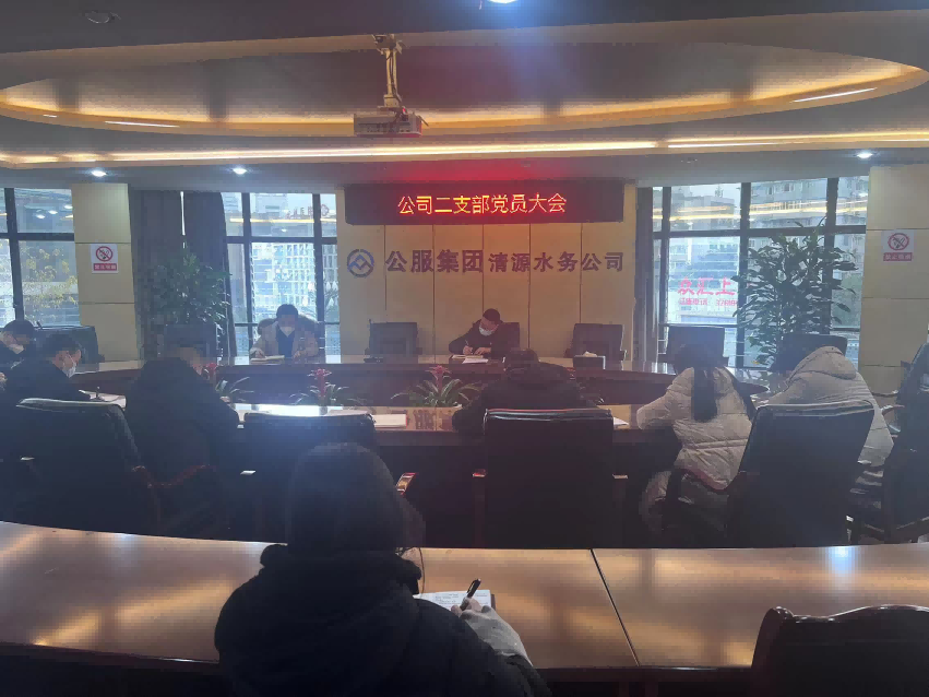 公司二支部召開(kāi)黨員大會(huì )暨“我為支部獻一策”主題黨日活動(dòng)